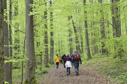 Des randonnées et balades