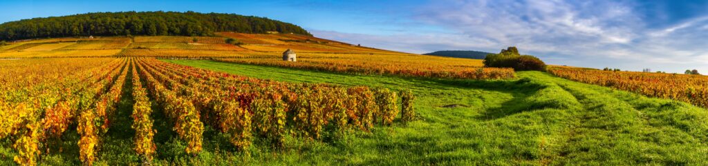 Jeûne et randonnées au milieu des vignes