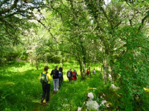 Groupe de jeûneurs en randonnée