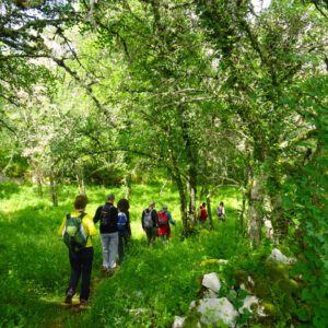 Groupe de jeûneurs en randonnée
