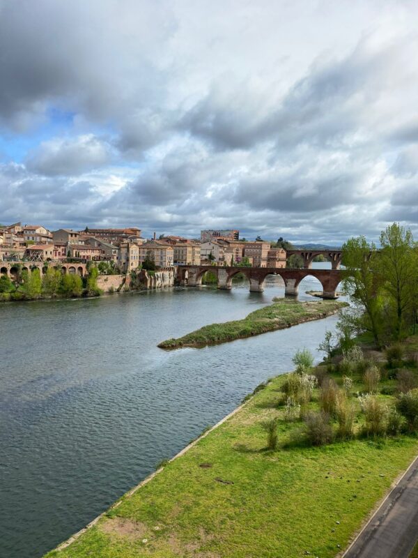 Albi avec les Crocodiles Jaunes Vue sur le tarn