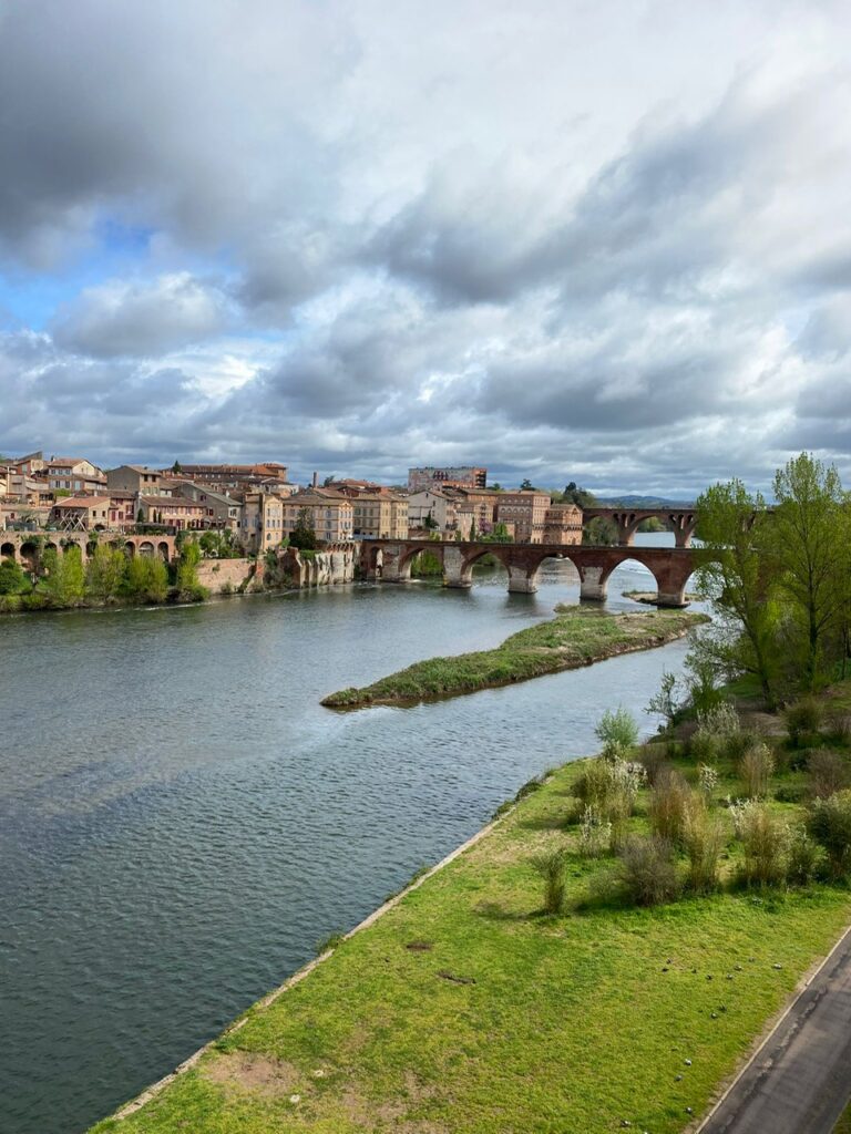 Albi avec les Crocodiles Jaunes Vue sur le tarn