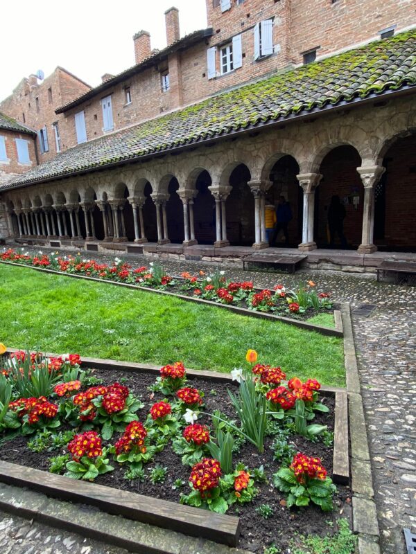 Albi avec les Crocodiles Jaunes Le Cloître