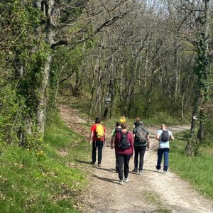 Groupe de stagiaires en randonnées lors d'un stage de jeûne en Occitanie