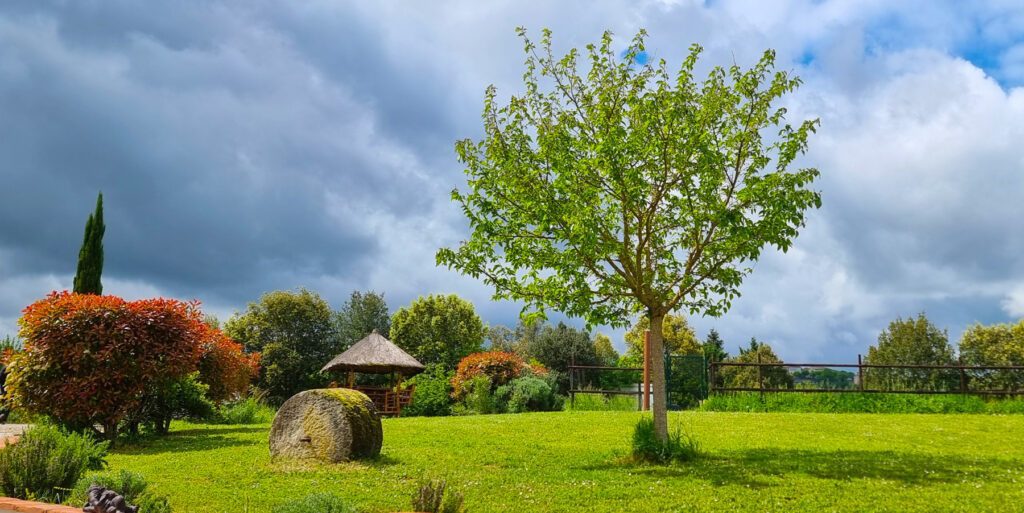 Gîte 10 personnes entre Toulouse et Albi. Piscine, sauna, jacuzzi.