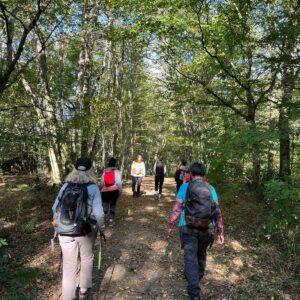 Stage Jeûne, Balades et Tourisme, Yoga, Méditation, Jacuzzi, Sauna - 02 Novembre
