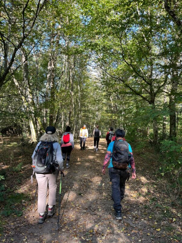 Stage Jeûne, Balades et Tourisme, Yoga, Méditation, Jacuzzi, Sauna - 28 septembre