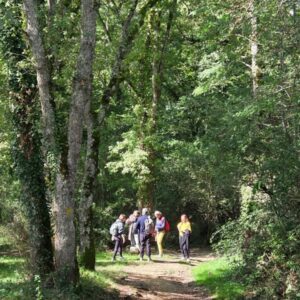 Stages de rentrée à partir de septembre 2026