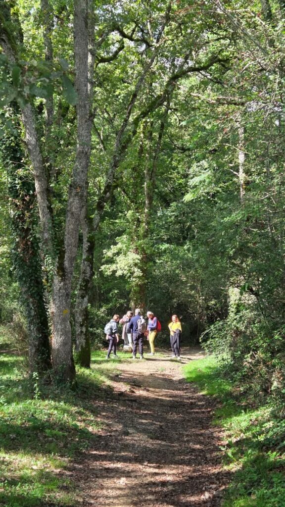 stage de jeûne et randonnée en Occitanie aux Crocodiles Jaunes