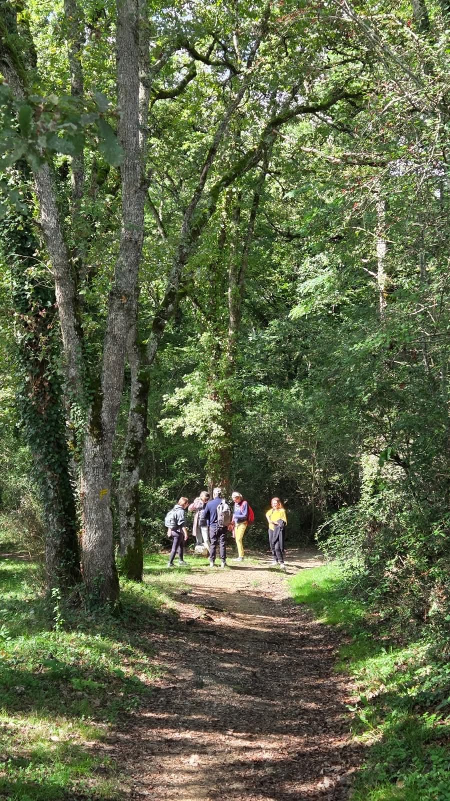 Stage Jeûne avant les fêtes, randos, Tourisme, activités multiples, Jacuzzi, Sauna - 30 novembre